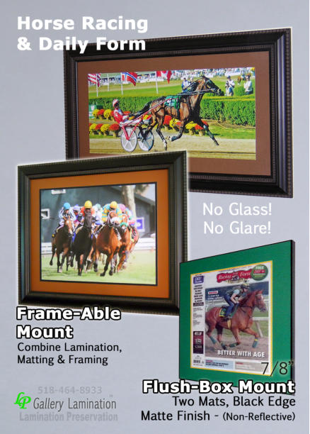 Day at the track! Winning horse Photos and Program. Photos in our Frame-Able with matting. Program - Flush-Box Mounted